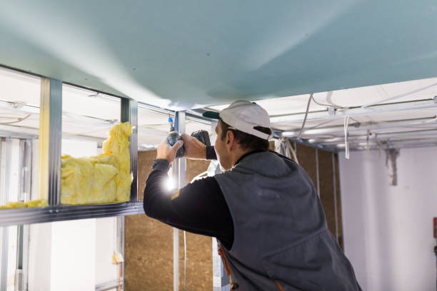 Best Spray Foam Insulation in Belle Plaine, KS