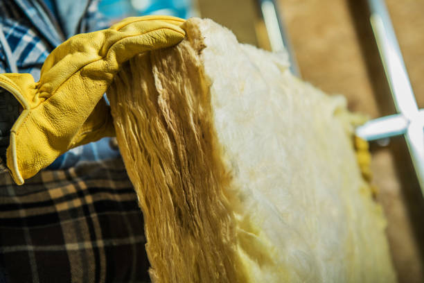 Best Blown-in Insulation in Belle Plaine, KS